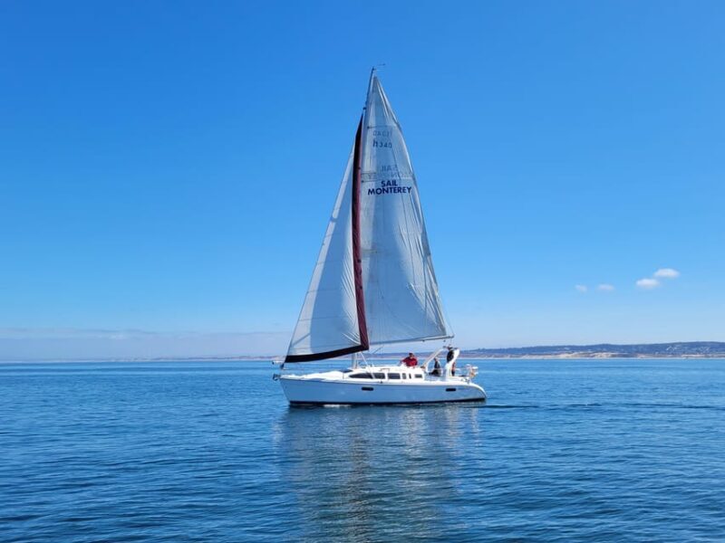 Monterey: Private Whale Watching/Sailing Tour for 6 - FAQs