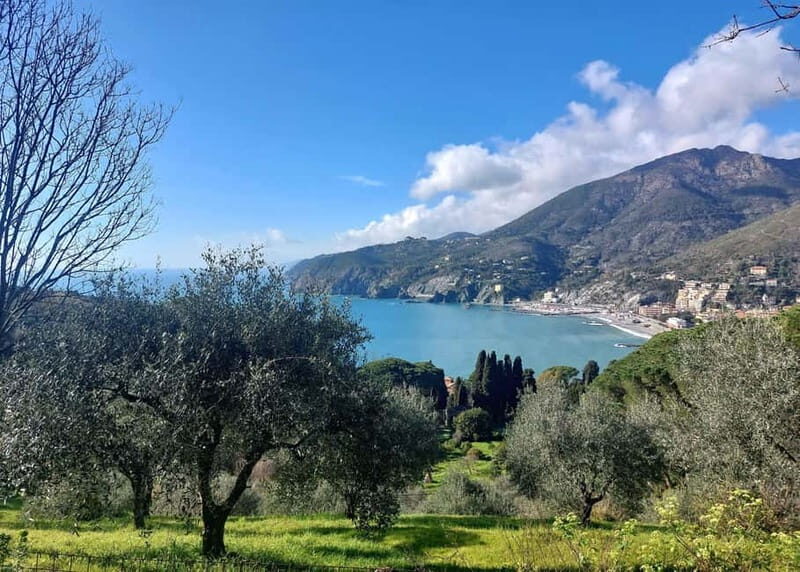 Monterosso Hiking Tour: Discover the Best Trails of 5 Terre - Key Points