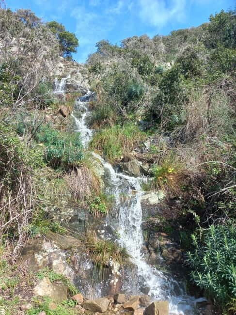 Monterosso Hiking Tour: Discover the Best Trails of 5 Terre - An Authentic Coastal Hike with a Cultural Twist