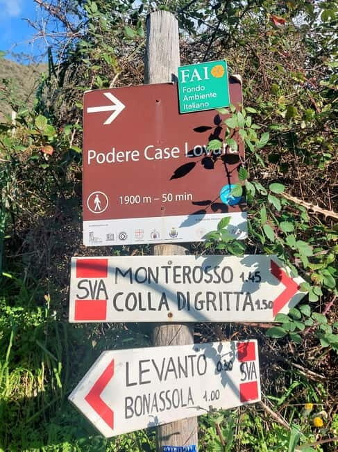 Monterosso Hiking Tour: Discover the Best Trails of 5 Terre - Practical Details and Value