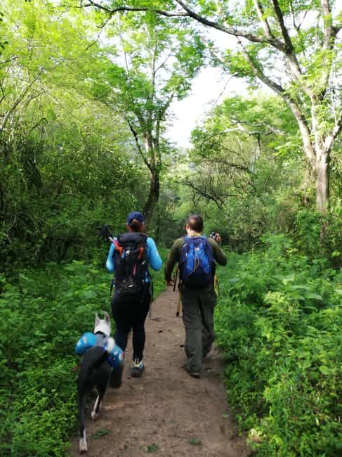 Monterrey: Enjoy a refreshing water crossing Cerro Agujerado - Final Thoughts: Who Should Consider This Tour?