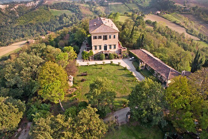 Montevecchio Isolani wine tasting experience - Exploring the Montevecchio Isolani Winery: A Deep Dive