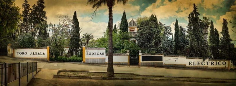 Montilla-Moriles Sweet Wine Tasting Pedro Ximenez - A Deep Dive into the Experience