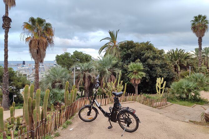 Montjuic Barcelona: Panoramic eBike Tour Views & Tapas stop - The Experience in Detail