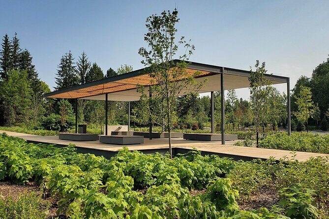 Montmorency Falls shuttle bus & admission - A Detailed Look at the Experience