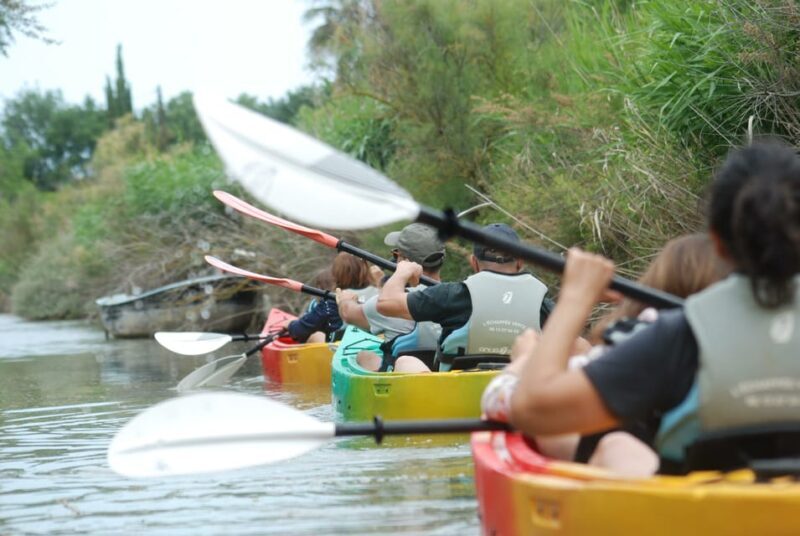 Montpellier : Birdwatching by kayak in Camargue - An In-Depth Look at the Kayak Birdwatching Tour