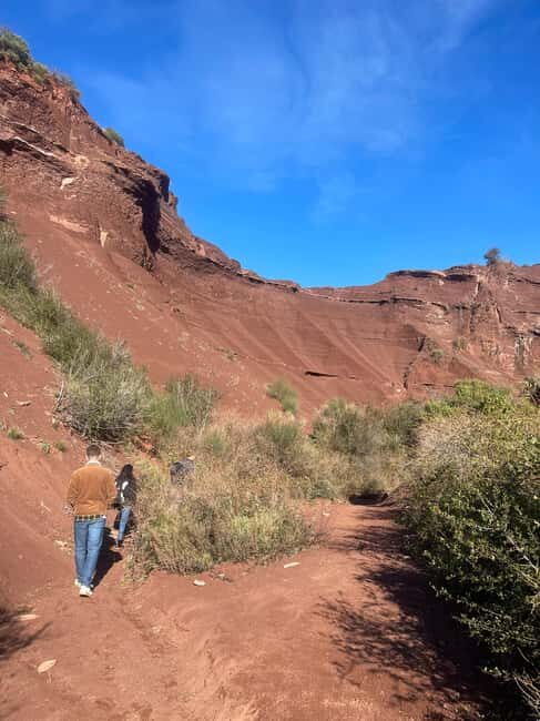 Montpellier: Celles, Capitelles & Local Wine Tasting Tour - Key Points