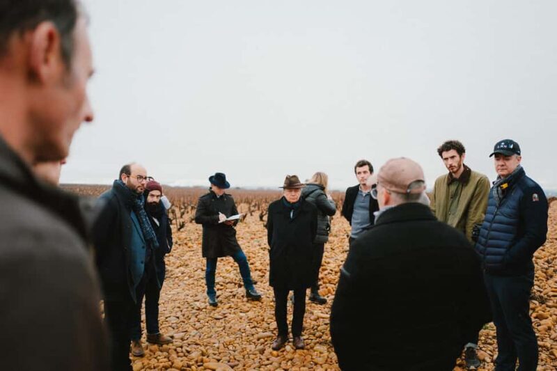 Montpellier: Full day Truffles and Chateauneuf-du-Pape Wines - An Introduction to the Experience