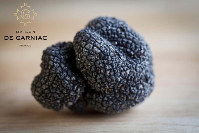 Montpellier: Full day Truffles and Chateauneuf-du-Pape Wines - What Makes This Tour Stand Out?