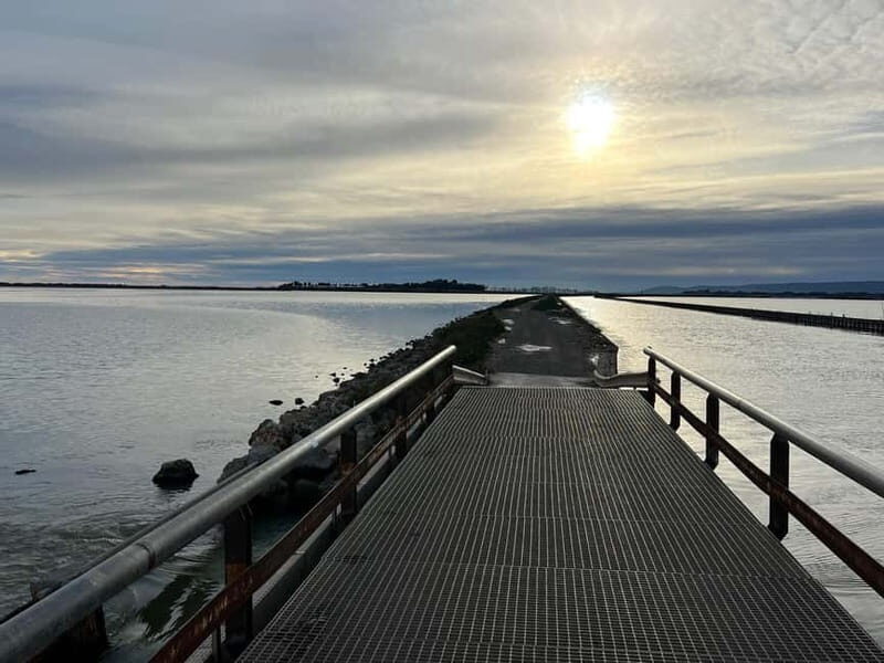 Montpellier: Guided Electric Bike Ride Along the Coast - Analyzing the Value