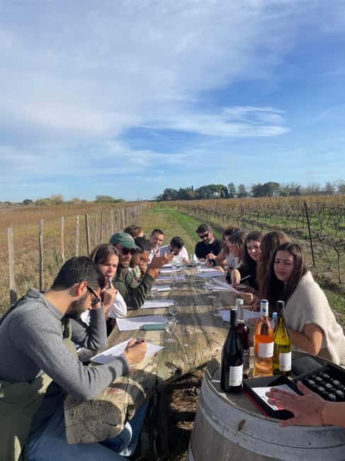 Montpellier : half day wine tour in Camargue - Practical Tips for Your Day