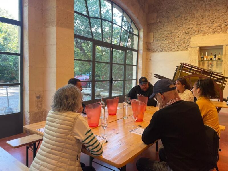 Montpellier: Half-Day Wine Tour with Lunch - Key Points