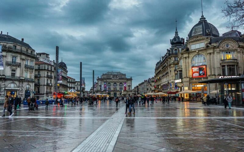 Montpellier: Private Guided Walking Tour - Who Will Love This Tour?