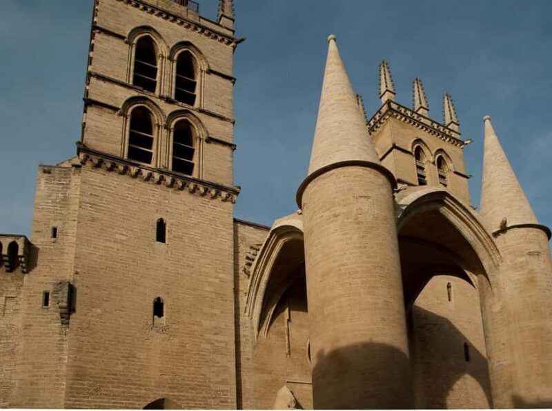 Montpellier - Private Historic Walking tour - Exploring Montpellier’s Historic Heart