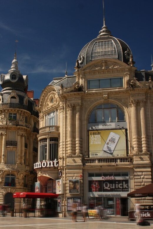 Montpellier - Private Historic Walking tour - Practicalities and Value