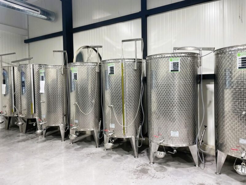 Montpellier : Visit lavender field and an Olive Oil Mill - An Overview of the Tour