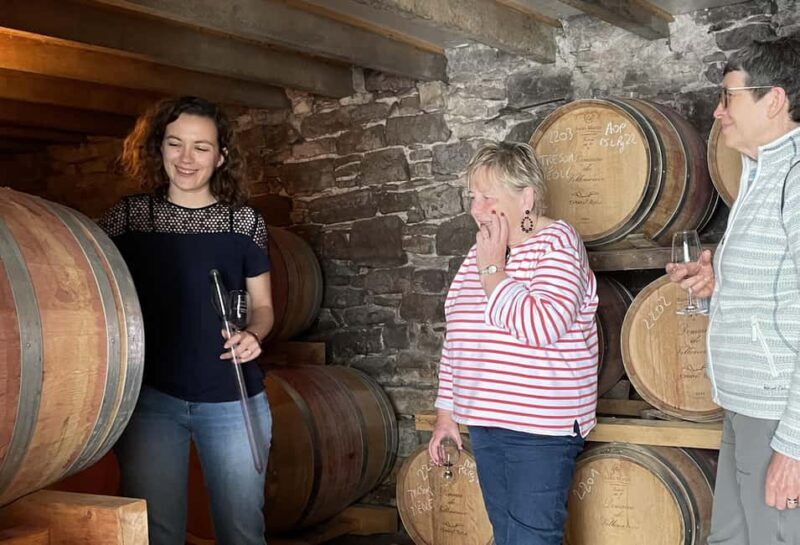 Montpellier : Wine Tour Pic St Loup - An Overview of What Makes This Tour Special