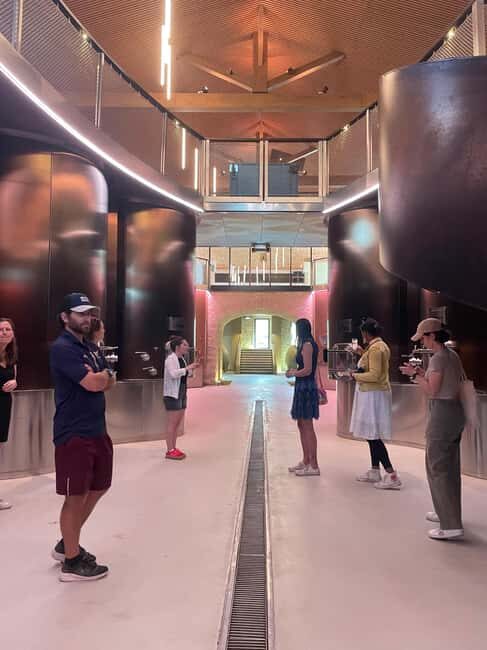 Montpellier : Wine Tour Pic St Loup - The Quality of the Wines and Tastings