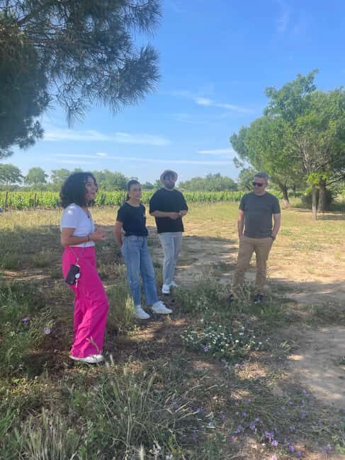 Montpellier:Discover the town of Sète, oysters and vineyards - Who Would Love This Tour?