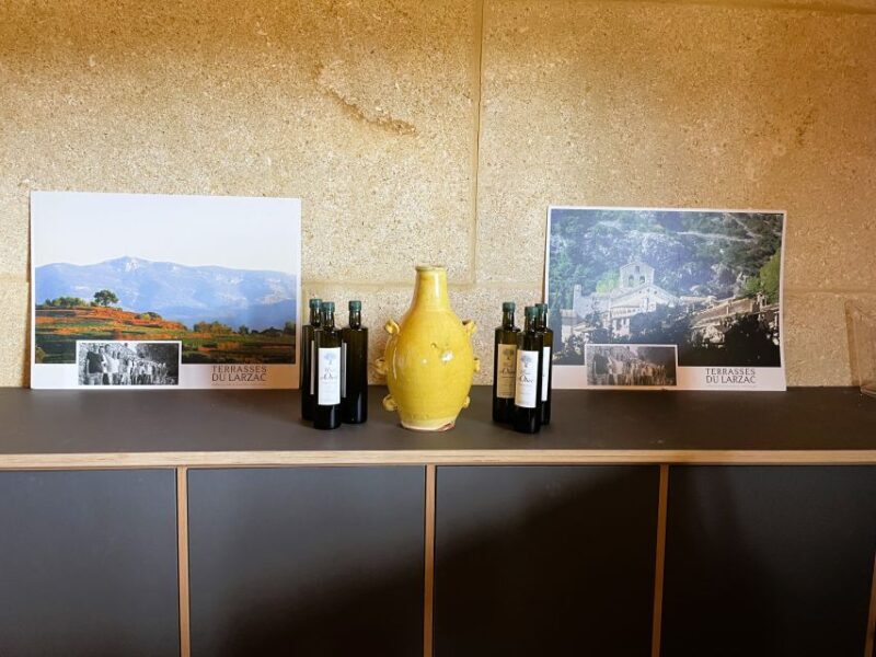 Montpellier:Half-Day Terrasses du Larzac Wine and grotto - Practical Tips for Travelers