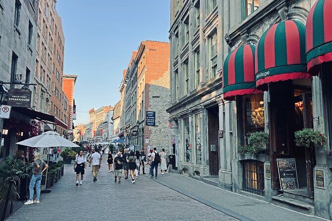 Montreal: 3-Hour Private Car Tour with Expert & Free Pick up - Key Points