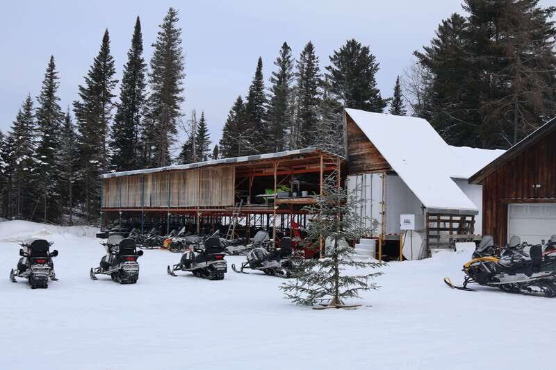 Montreal: Canadian Forest Guided Tour by Snowmobile - Wildlife and Scenic Encounters