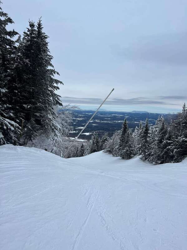 Montreal: Canadian Forest Guided Tour by Snowmobile - The Quality of Equipment and Safety