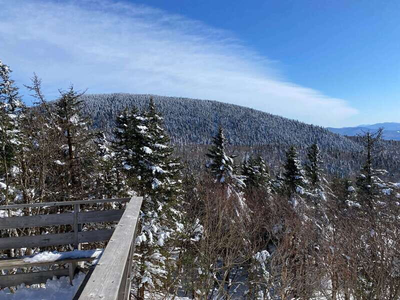 Montreal: Canadian Forest Guided Tour by Snowmobile - Why You Should Consider This Tour