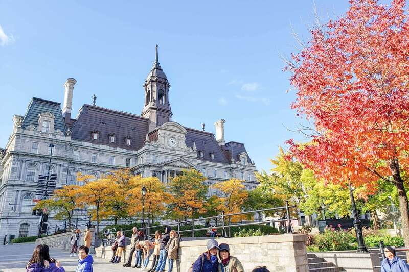 Montreal: Guided Bus Tour - Authenticity and Authentic Experiences