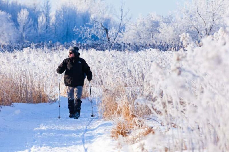 Montreal: Îles-de-Boucherville Entry Ticket and Snowshoeing - What is Included and How it Works