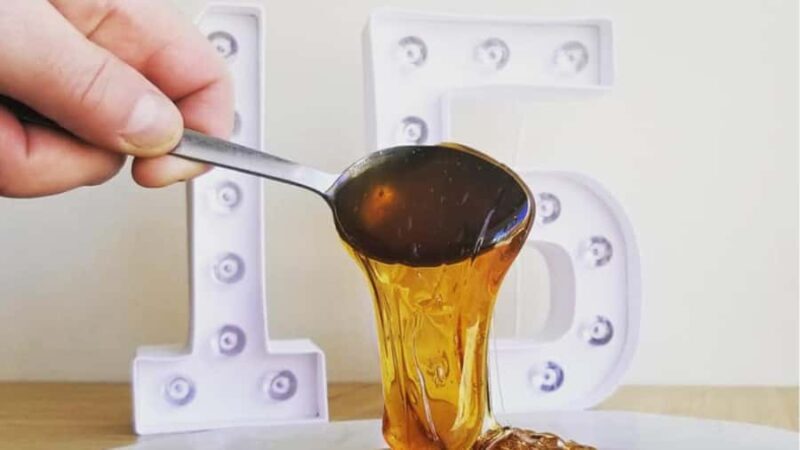 Montreal: Maple syrup tasting and conference. In english! - An In-Depth Look at the Maple Syrup Experience