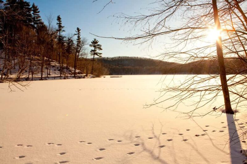 Montreal: Mont-Saint-Bruno National Park Entry and Fatbiking - Practical Tips