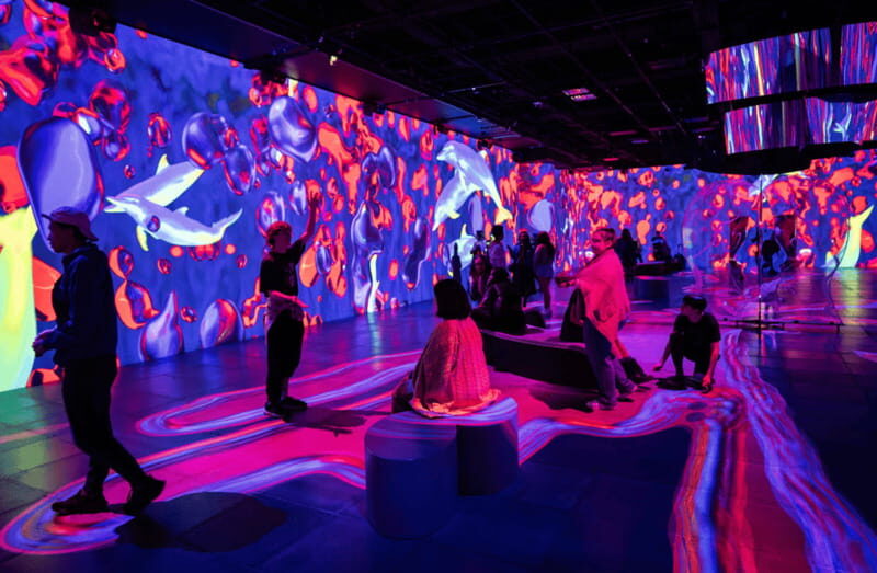 Montreal: OASIS Immersion Entry Ticket - Who Should Visit?