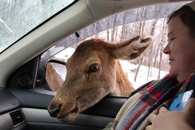 Montreal: Omega Park Canadian Wildlife Safari Adventure - The Sum Up