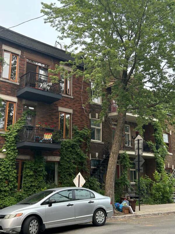 Montreal: Secondhand Shopping Tour with a Local - Final Thoughts