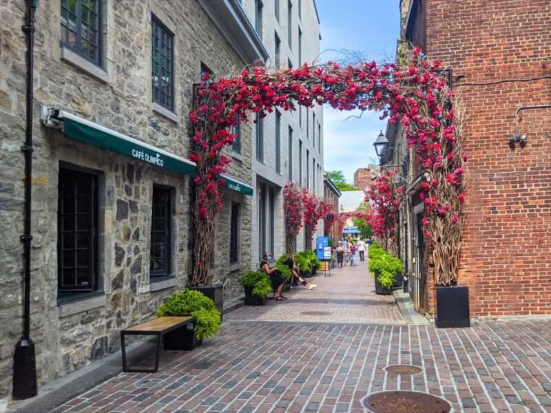 Montréal: The Original Old Montréal Walking Tour - The Sum Up