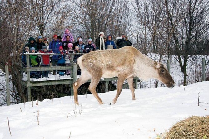 Montreal ZOO, private half day tour - An In-Depth Look at the Montreal ZOO, Private Half-Day Tour