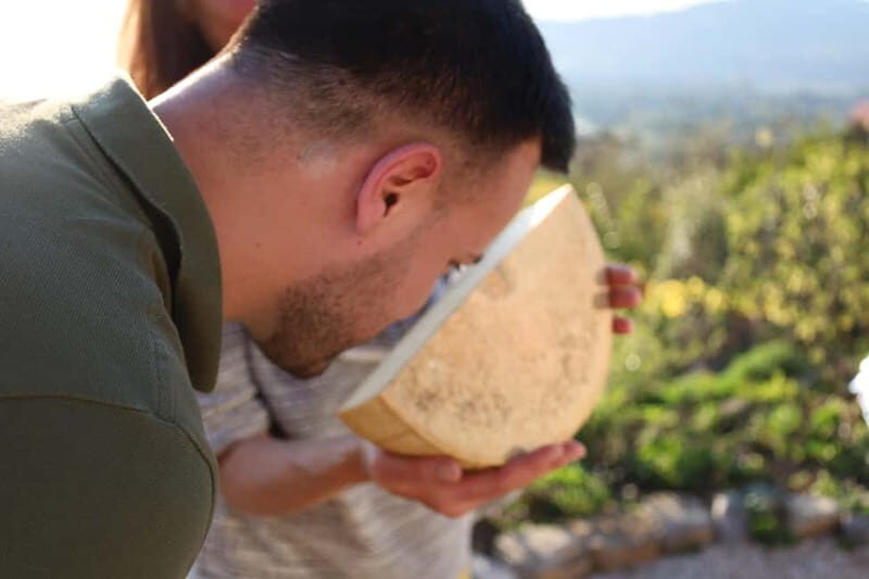 Montreux: Cheese like a local with lake & mountain views - Overview of the Experience