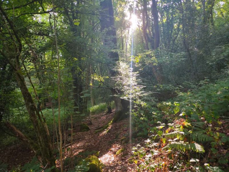 Monts de Guéret: Guided hike to the summit of Maupuy - Final Thoughts