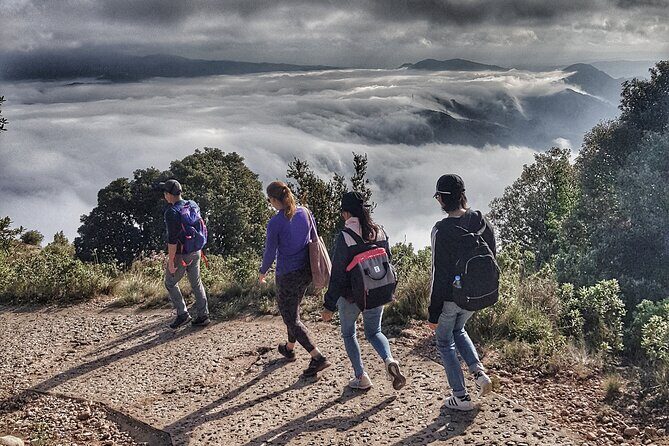 Montserrat Hiking Experience and Monastery with a Mountain Leader - Who Is This Tour Best For?