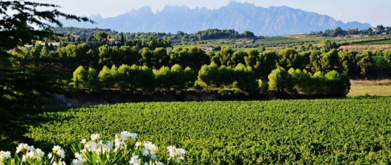 Montserrat: Private Half-Day Tour from Barcelona - The Value Proposition