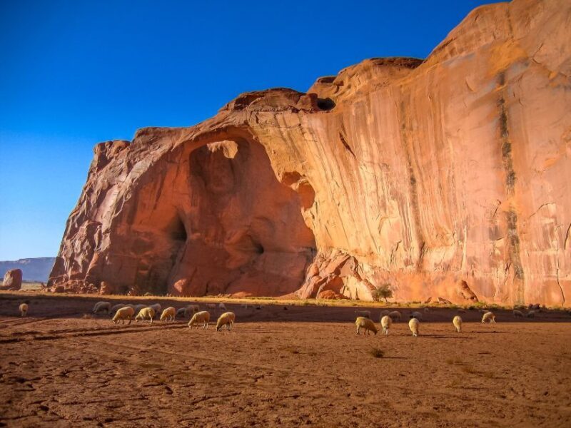 Monument Valley 4x4 Navajo Guided Tour - An In-Depth Look at the Monument Valley 4x4 Navajo Guided Tour