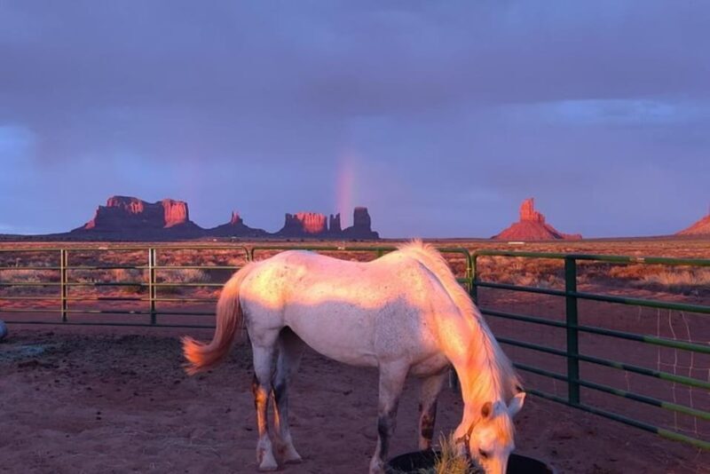 Monument Valley: Horseback Adventure Tour - Key Points