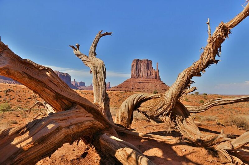 Monument Valley: Scenic 2.5-Hour Guided Tour - Final Words: Who Will Love This Tour?