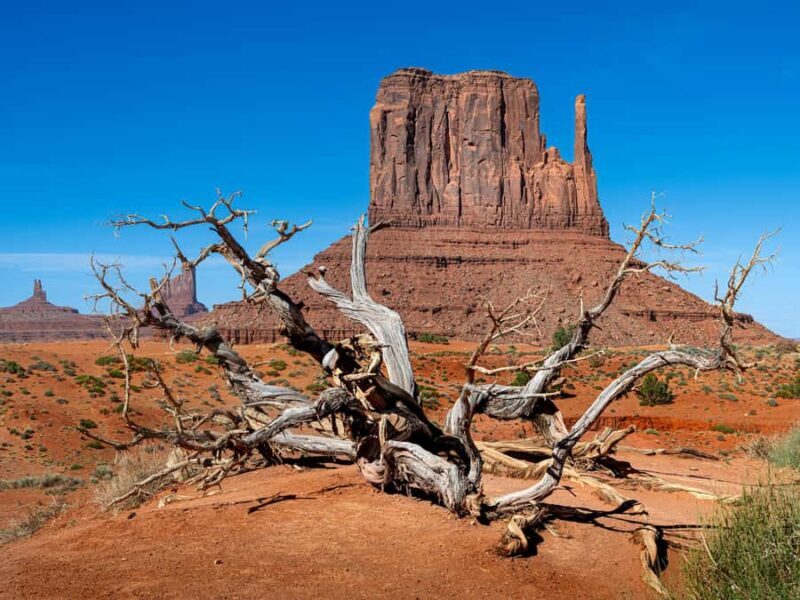 Monument Valley: Scenic Loop Drive Tour with Navajo Guide - A Detailed Look at the Monument Valley Scenic Loop Drive Tour