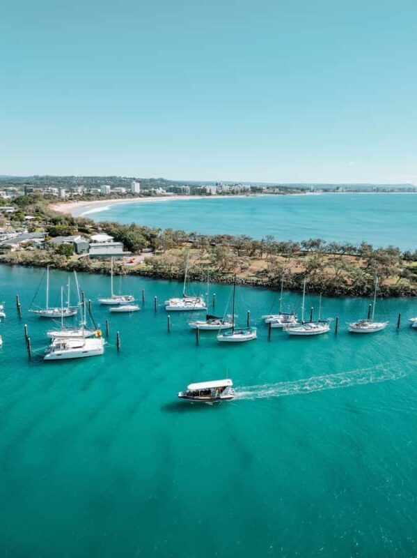 Mooloolaba: Adventure Rafting Turtle Tour - What Is the Mooloolaba Adventure Rafting Turtle Tour?