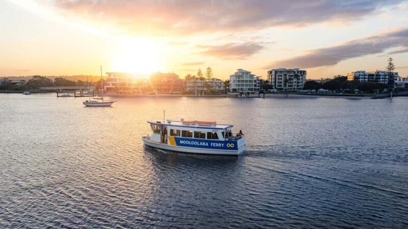 Mooloolaba: Hop-On Hop-Off Ferry Return Ticket - Final Thoughts
