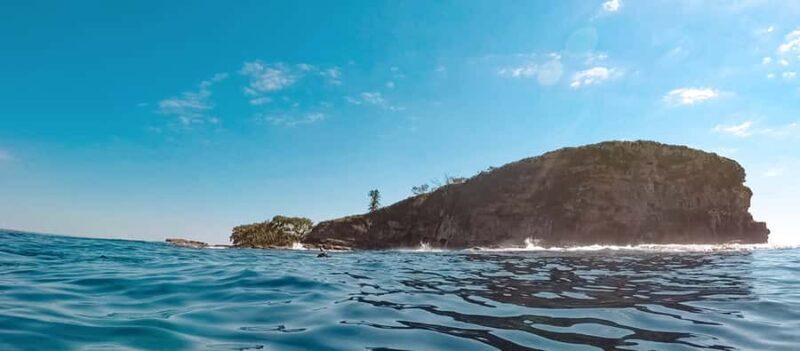 Mooloolaba: Snorkel with Turtles Mudjimba Island - Key Points