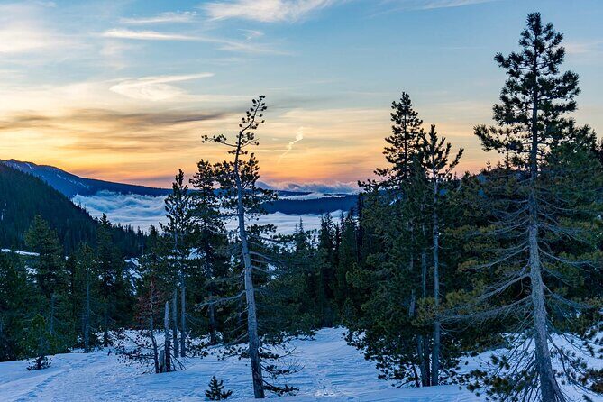 Moonlight Snowshoe Hike - Why Its Worth It