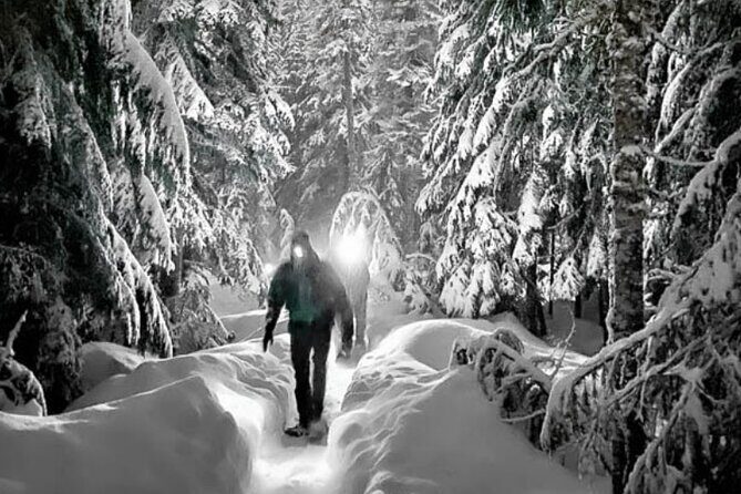 Moonlight Snowshoe Hike - The Sum Up: A Magical Winter Night in Nature